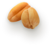 Seed